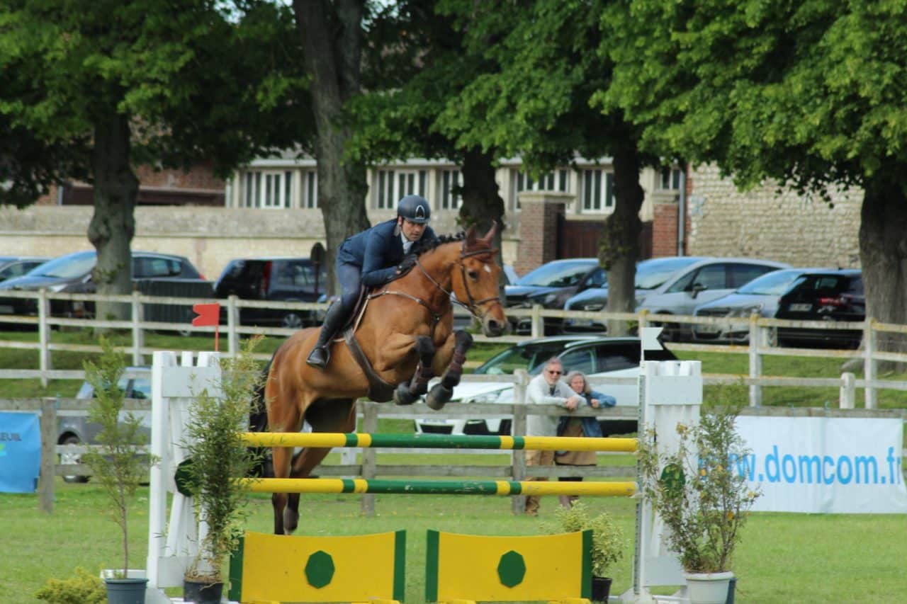 Dossier Pédagogique Bpjeps Equitation Page De Garde BPJEPS équitation - Bpjeps équitation et PrépaBPJEPS en Normandie
