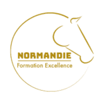 normandie formation excellence